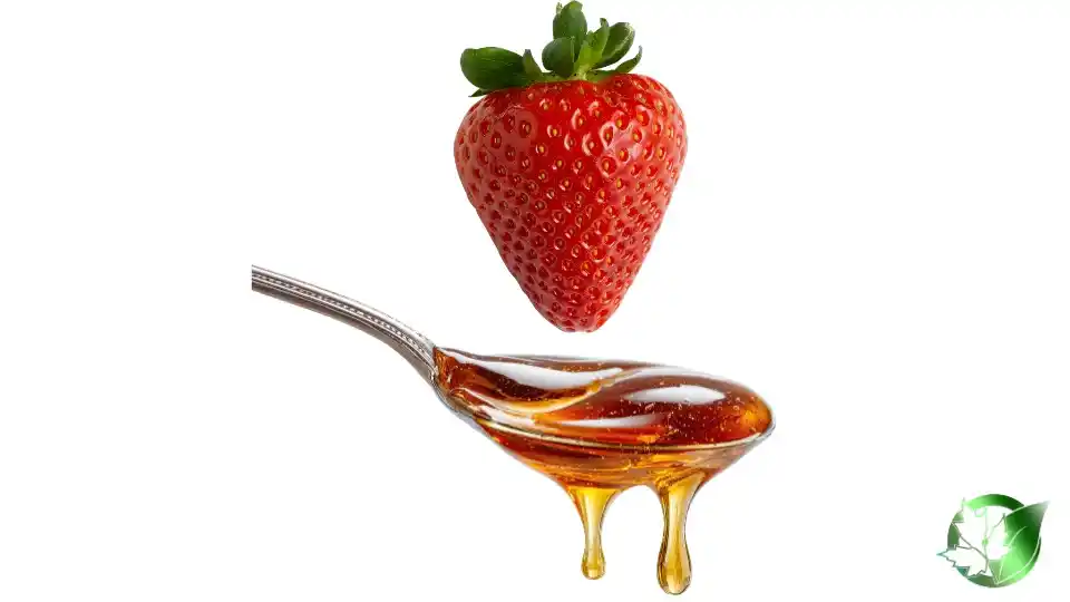 Bulk Strawberry Syrup | Suppliers | Wholesale | ParsaFood Global